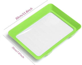 🔥Buy 3 Get 2 Free Today - Environmentally friendly design - Reusable Food Preserving Tray🥰