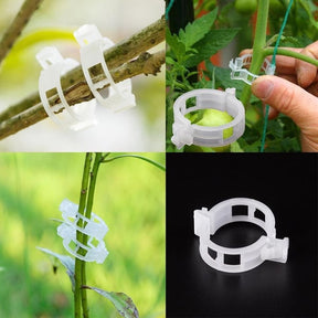 (💥Hot Sale- SAVE 48% OFF 💥) Plant Support Clips-BUY MORE SAVE MORE