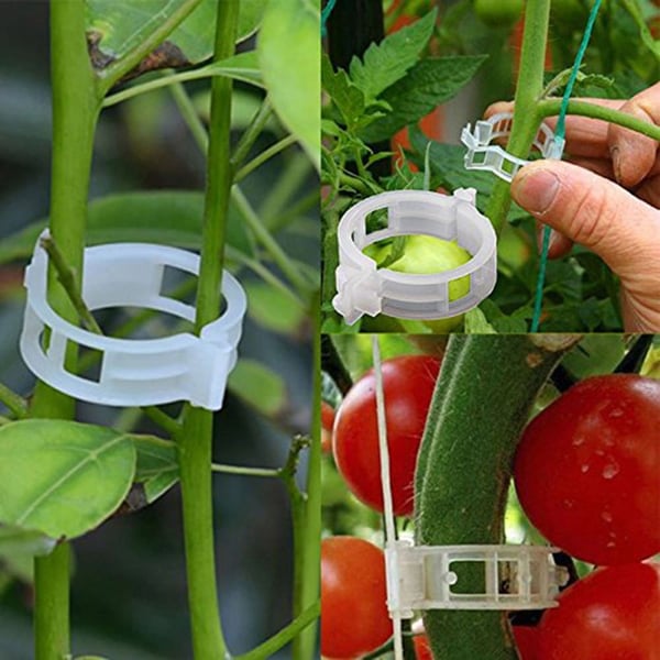 (💥Hot Sale- SAVE 48% OFF 💥) Plant Support Clips-BUY MORE SAVE MORE