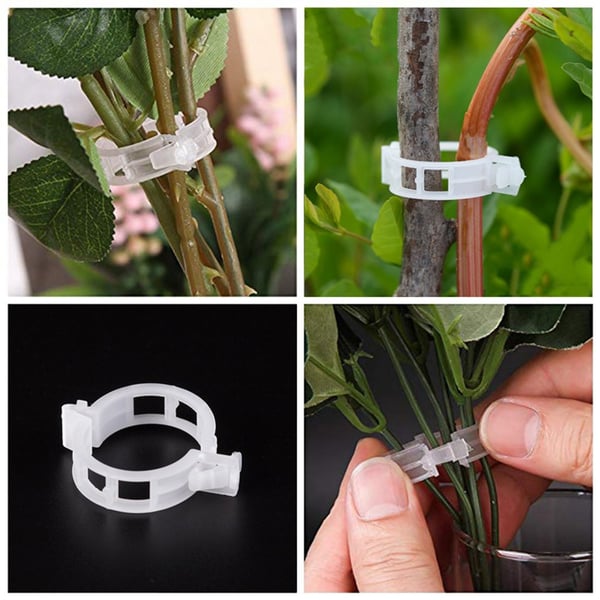 (💥Hot Sale- SAVE 48% OFF 💥) Plant Support Clips-BUY MORE SAVE MORE