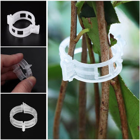 (💥Hot Sale- SAVE 48% OFF 💥) Plant Support Clips-BUY MORE SAVE MORE